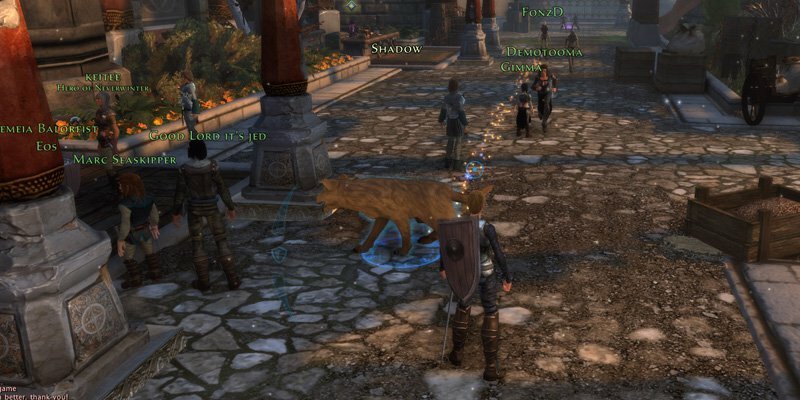 Neverwinter online: гайд по игре