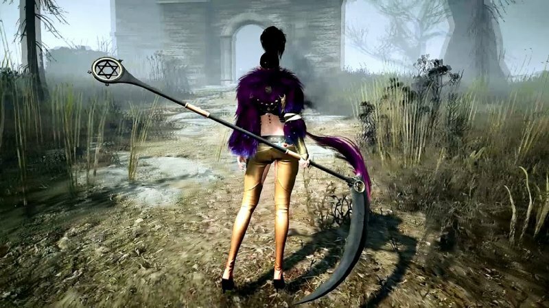 Оружие в Black Desert: гайд