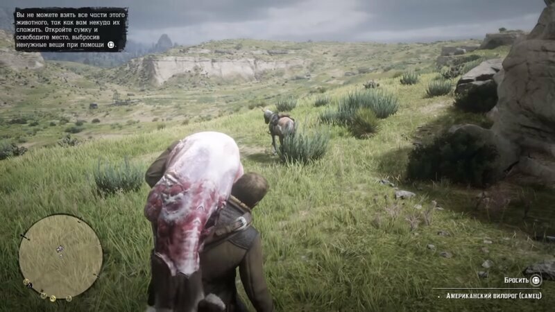 Кадры с геймплея Red Dead Redemption 2